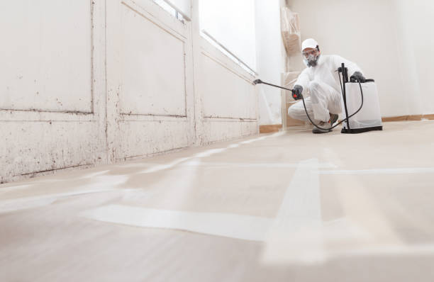 24/7 Emergency Mold Remediation experts in Jamaica Plain, MA
